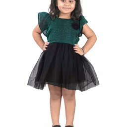Shrithi Fashion Fab Net Fit & Flare Dress-picture-26
