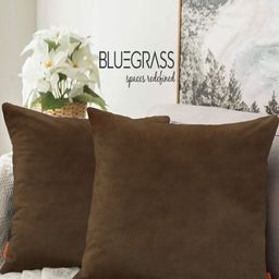 Blue Grass Coffee Brown 2 Pieces Velvet Cushion Covers-image-43