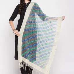 Clora Creation Embroidered Organza Dupatta With Mirror Work-picture-18