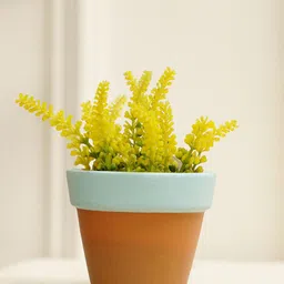 PUREZENTO Blue & Brown Tiny Eco-Friendly Planter-13