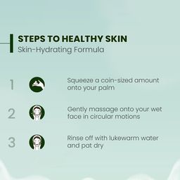Sukkati Mattifying + Clarifying Face Cleanser Enriched With Amla - 100 ml image 2