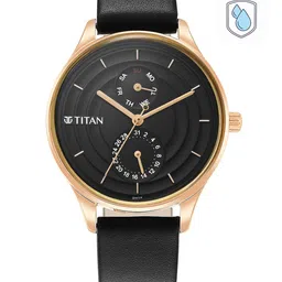 Titan Women Black Brass Dial Gold Toned Analogue Watch With Black Leather Straps-image-13