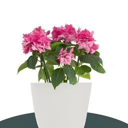Kuber Industries White Flower Pot Planter-32