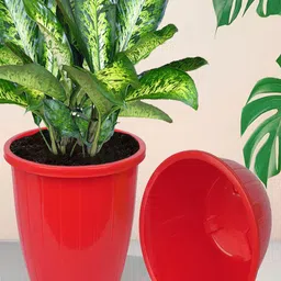 Kuber Industries Red & White 5 Pieces Indoor Planters-74