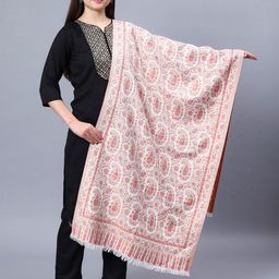 Aditi Wasan Paisley Woven Design Shawl-image-16