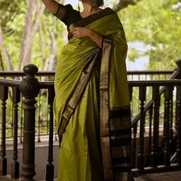Parampara Ethnic Woven Design Zari Pure Silk Banarasi Saree-picture-13