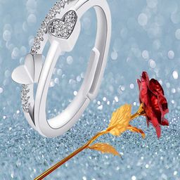 UNIVERSITY TRENDZ Silver-Plated Dual Heart Crystal Stud Ring Home Gift Set-38