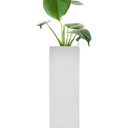 VAH Kya Bat Hai !! White Magnetic Hydroponic Planter image 1