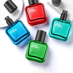 Wild Stone Men Set Of 4 Perfume Set-30ml Each-4