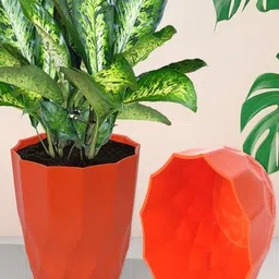 Kuber Industries Orange 6 Pcs Planter Pot-44