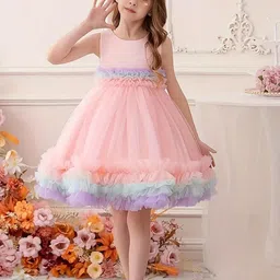 BAESD Girls Ruffled Net Fit & Flare Dress-image-71
