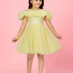 BAESD Girls Flutter Sleeve Net Fit & Flare Dress-image-90
