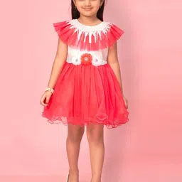 Muhuratam Girls Corsage Detailed Fit & Flare Mini Tulle Dress-picture-35
