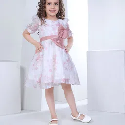 Peppermint Floral Print Round Neck Puff Sleeve Jacquard Fit & Flare Dress-image-56