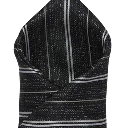 Alvaro Castagnino Men's Black & Grey Printed Pocket Square-image-97