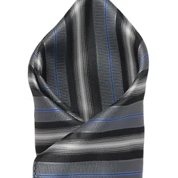 Alvaro Castagnino Men's Grey & Black Striped Pocket Square-image-101