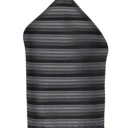 Alvaro Castagnino Men's Grey & Black Striped Pocket Square-image-97