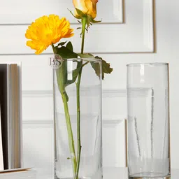 BS AMOR Set Of 2 Transparent Cylindrical Glass Flower Vase-75