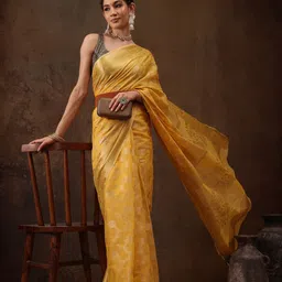 Silk Land Woven Design Zari Banarasi Saree-picture-29
