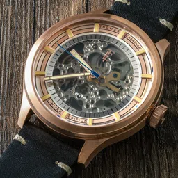 EARNSHAW Men Embellished Dial & Leather Straps Analogue Automatic Motion Powered Watch-picture-12