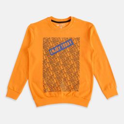 Pantaloons Junior Boys Orange Printed Sweatshirt-image-89