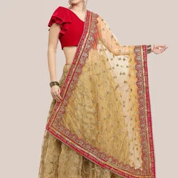 Dupatta Bazaar Ethnic Motifs Embroidered Dupatta with Zardozi-15