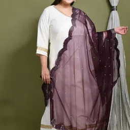 PrettyPlus by Desinoor.com Floral Embroidered Organza Dupatta With Mirror Work-picture-23