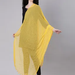 Souchii Ethnic Motifs Dupatta with Phulkari-image-23