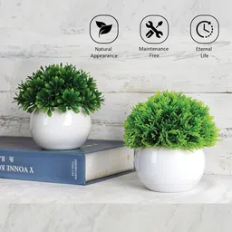 Kuber Industries White 4 Pieces Artificial Plant With Pot image 2