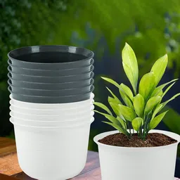 Kuber Industries 12Pcs White & Grey Textured Planters With Plate-2