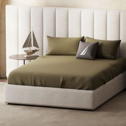Nautica echo-300 Brown Pure Cotton 300 TC King Bedsheet Set 2.74 m X 2.74 m-image-46