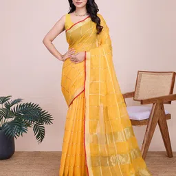 DIVASTRI Woven Design Checked Zari Saree-12