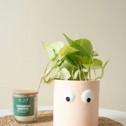 ArteCasa Beige & White Textured Ceramic Face of Green Planter-4