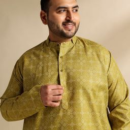 SOJANYA PLUS Ethnic Motifs Printed Mandarin Collar Straight Cotton Linen Kurta-image-80