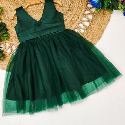Shoryam Fashion Floral Net Fit & Flare Dress-image-83