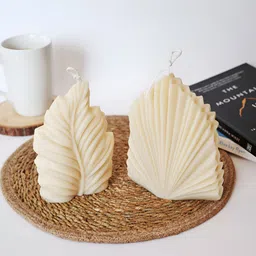 ENCEBIENCE Off White Seaweed Palm Leaf & Palm Leaf/Fan Candles Combo - French Lavender-image-10