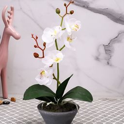 Myntra Elegant Homes Grey 1 Pieces Orchid Artificial Plant With Pot-52