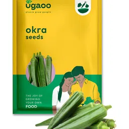 UGAOO Okra Seeds-41