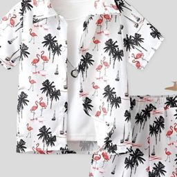 Ocvito Red Pure Cotton Co-Ords-image-36