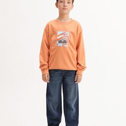 RARE ONES Boys Cotton Round Neck Sweatshirt-picture-10