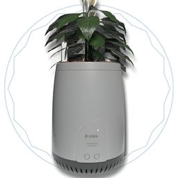 UBreathe Grey Air Purifying Round Planters-image-44