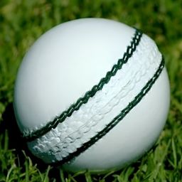 HackerXPebble Trainy Sports Cricket Ball-22