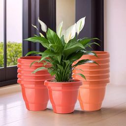 Kuber Industries 12-Pcs Red & Orange-Coloured Durable Planters-10