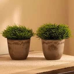 Elemntl Green & Brown 2 Pieces Artificial Potted Topiary Bush With Pot-5