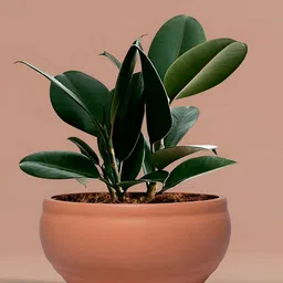 LASAKI Brown Bowl Ceramic Planter-image-47