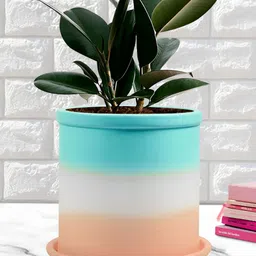 LASAKI Blue Pink Colorblocked Ceramic Planter With Tray-image-65