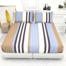 THE WHITE MOSS Beige & White Striped 130 TC King Bedsheet with 2 Pillow Covers-image-70