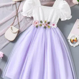 Miss & Chief Embellished Puff Sleeve Net A-Line Dress-picture-10