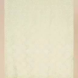Dupatta Bazaar Embroidered Dupatta with Sequinned image 4