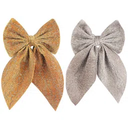 Radhu & Kabby Women Set Of 2 Alligator Hair Clips-image-69